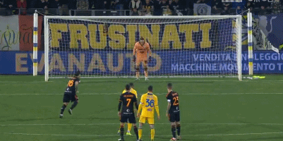 2024上海马拉松正式鸣枪，申爱大不同共赴大满贯